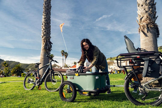 Burley  Hopper Cargo Bike Trailer and Wagon