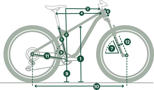 Cannondale  Trail 3 Mountain Bike
